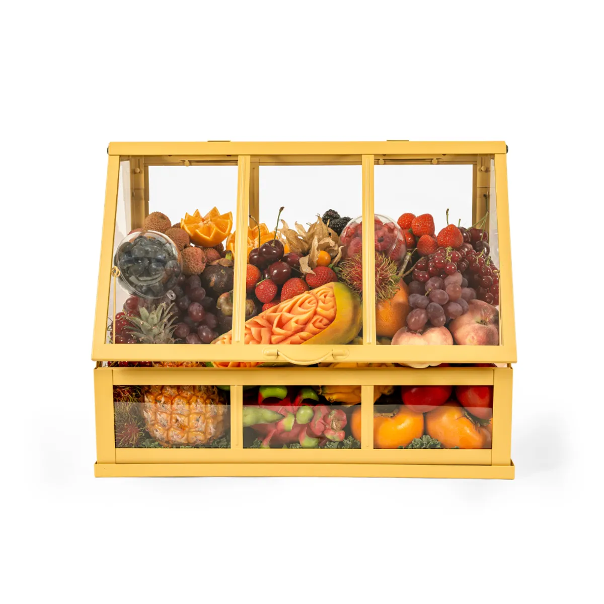  Tropical Fruit Treasury