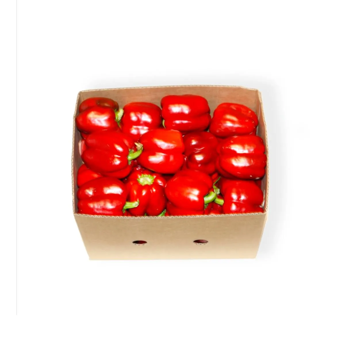 Capsicum Red