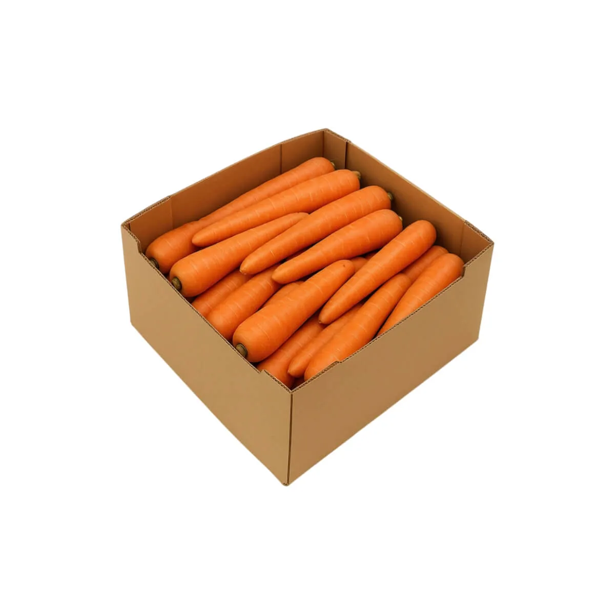Carrot