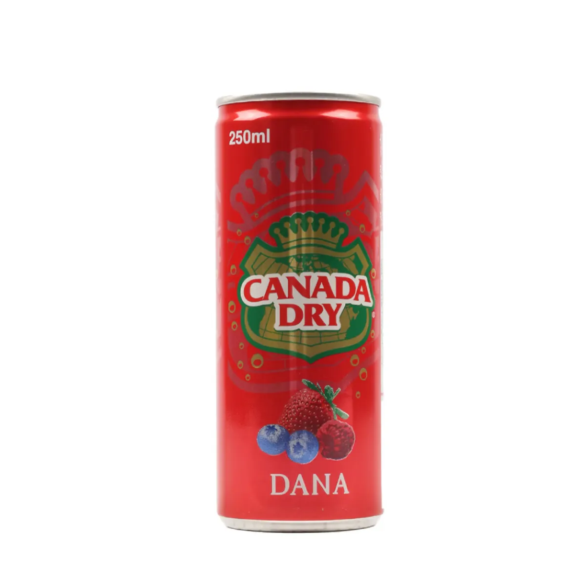 Canada Dry Dana Soft Drink 250ml