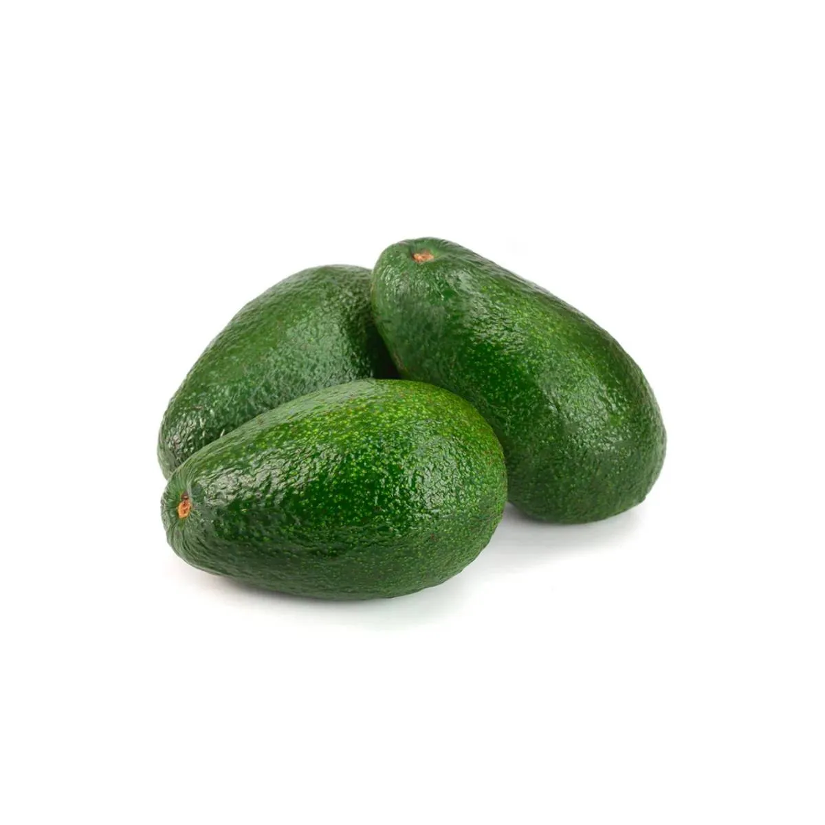 Avocado Hass Periban Unripe