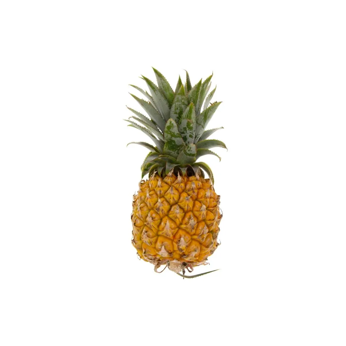 Baby Pineapple