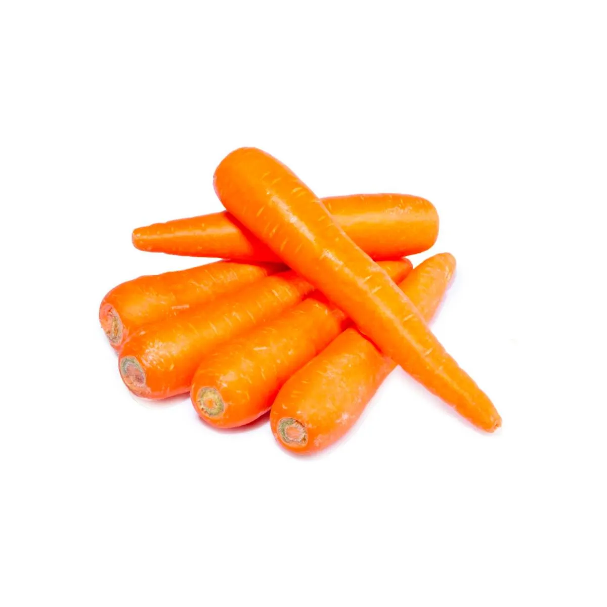 Carrot