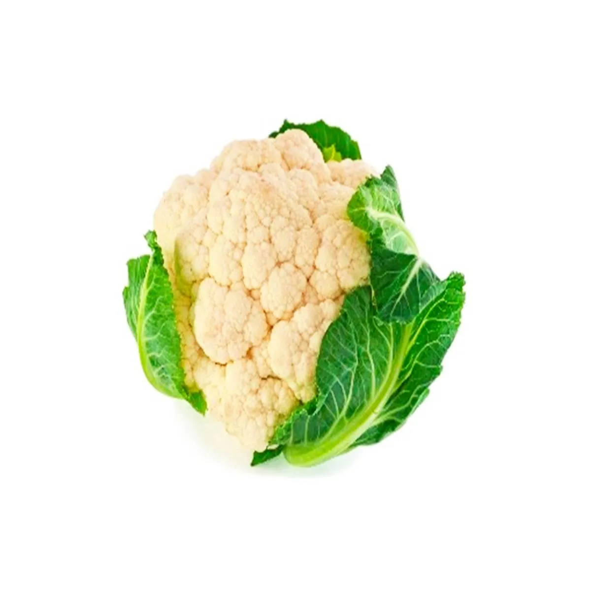 Cauliflower White