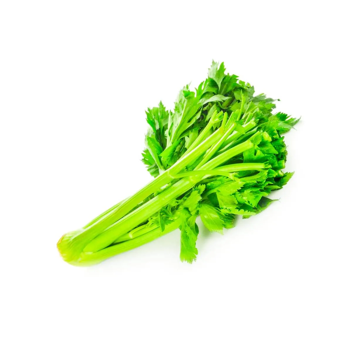 Celery Sticks Organic