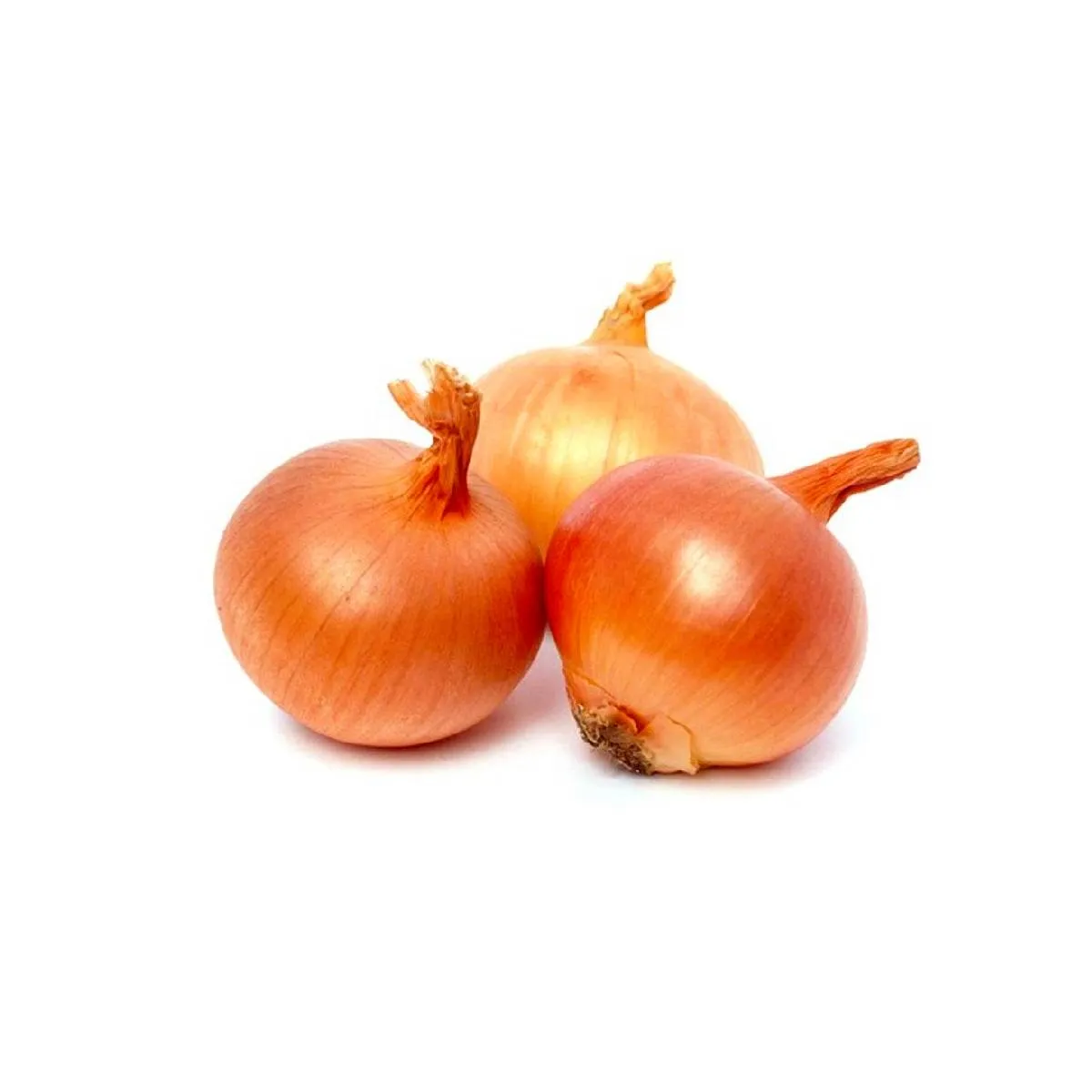 Onion Brown