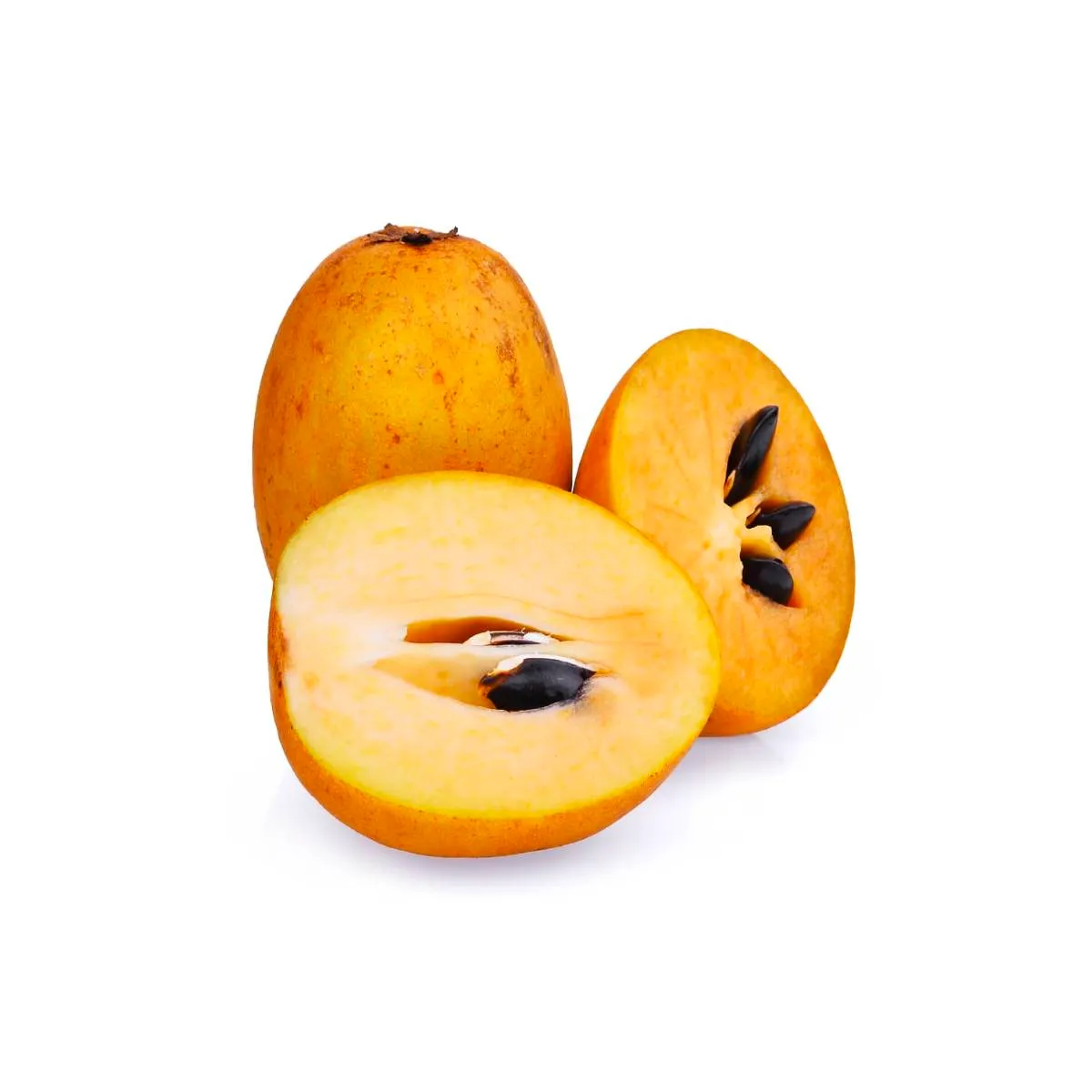 Sapodilla