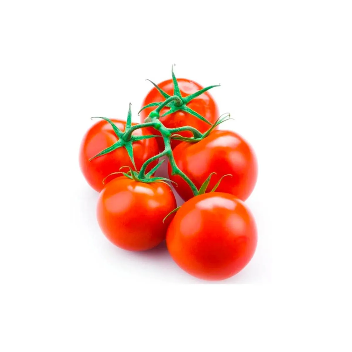 Tomato Bunch Red
