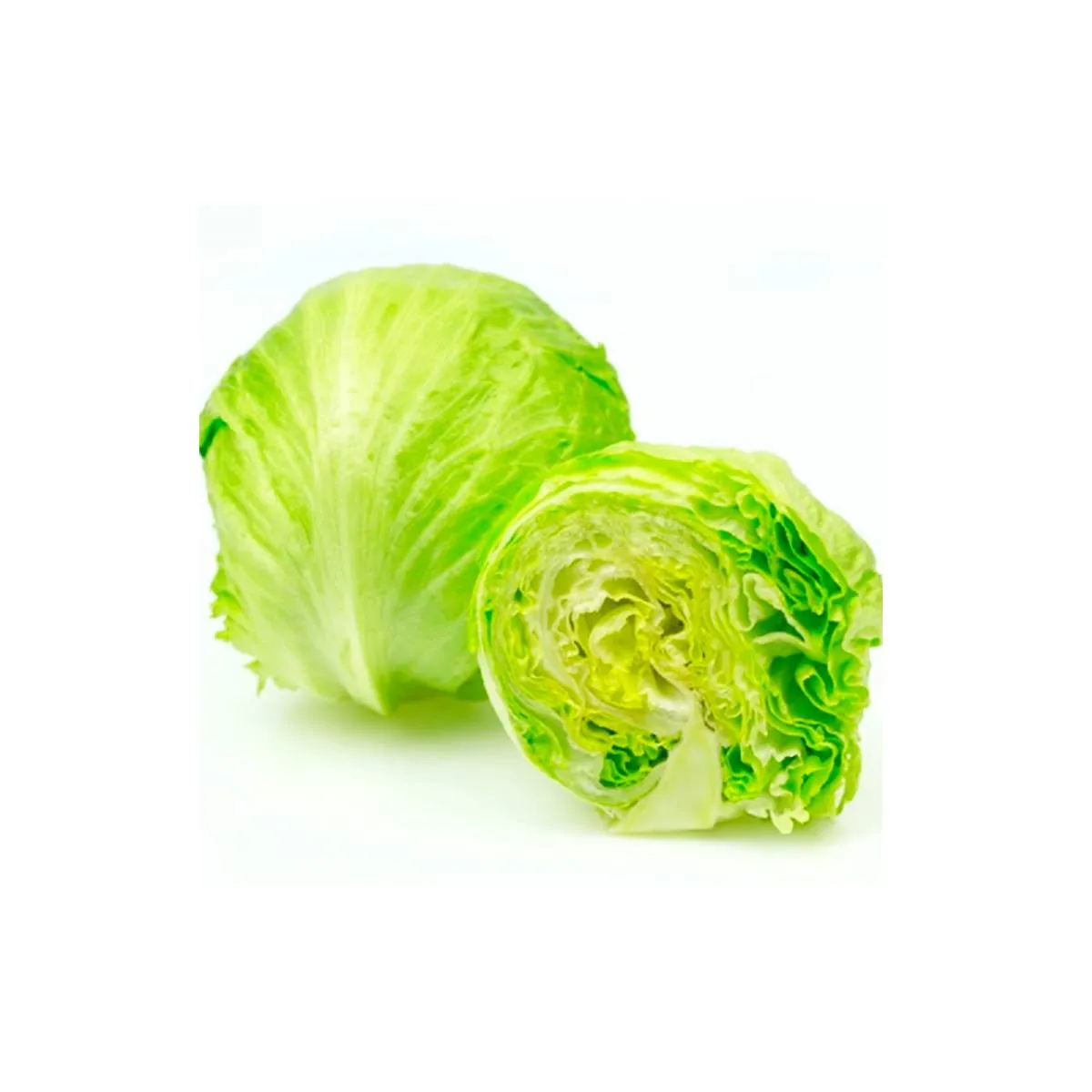 Lettuce Iceberg