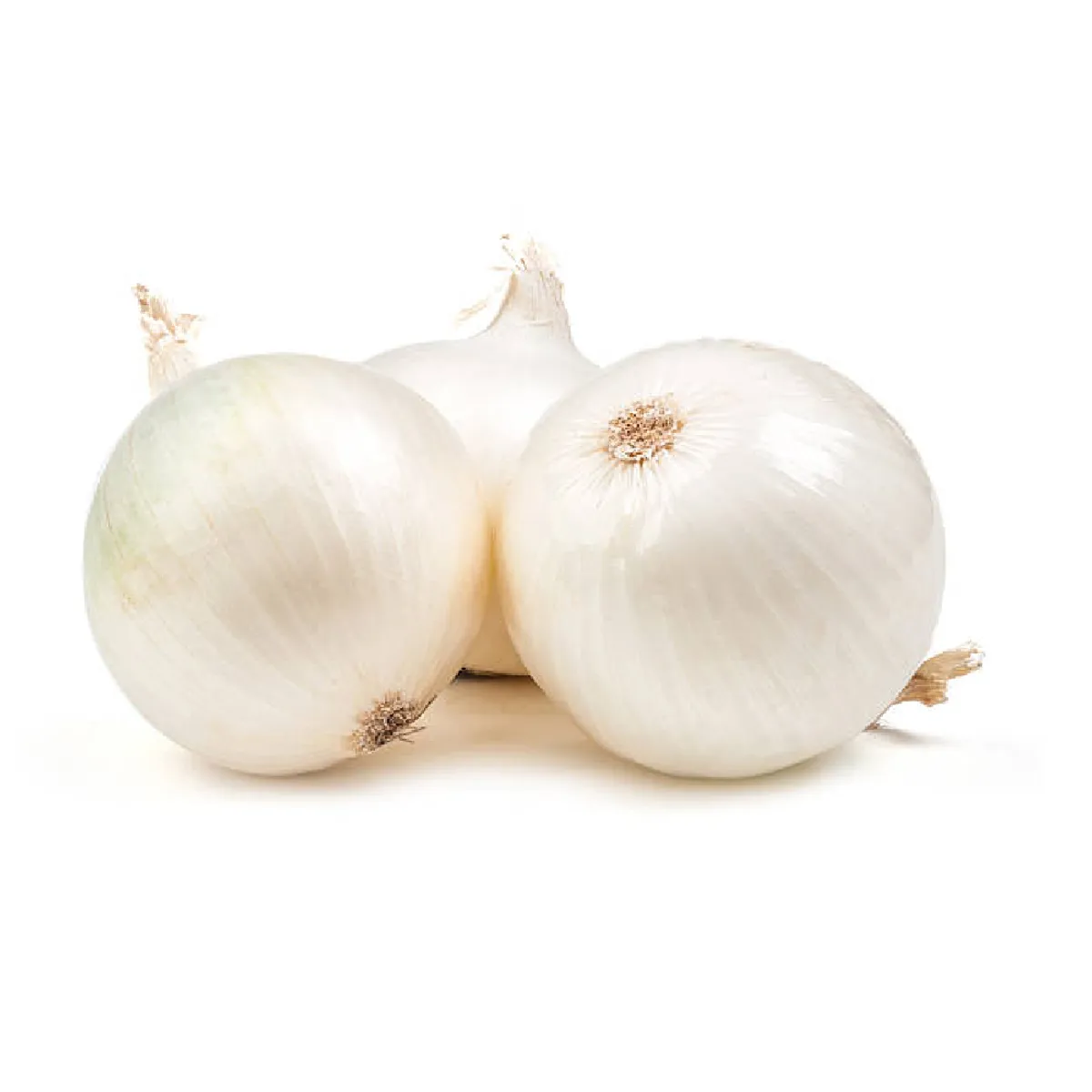 Onion White Organic