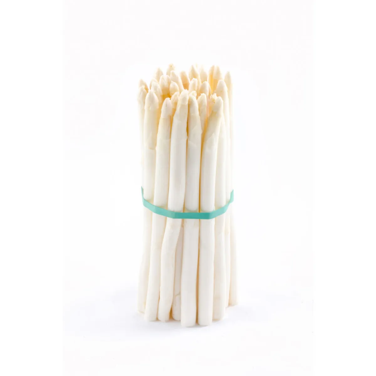 White Asparagus