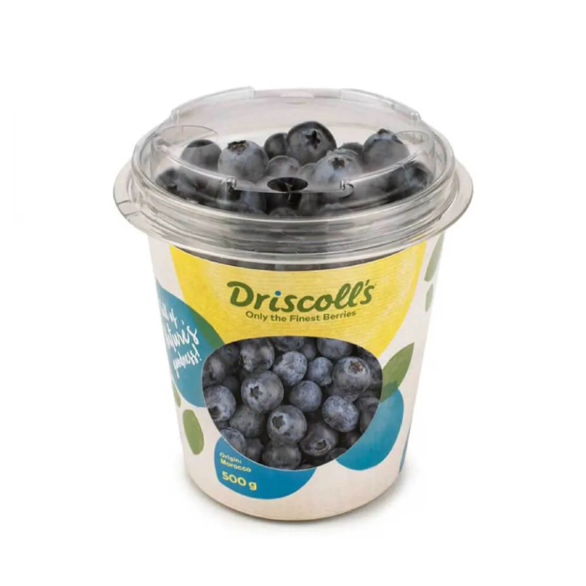 Driscoll's  Blueberry